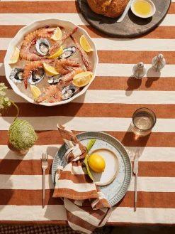 L&M Home Riviera Terracotta Table Cloth Best Sale